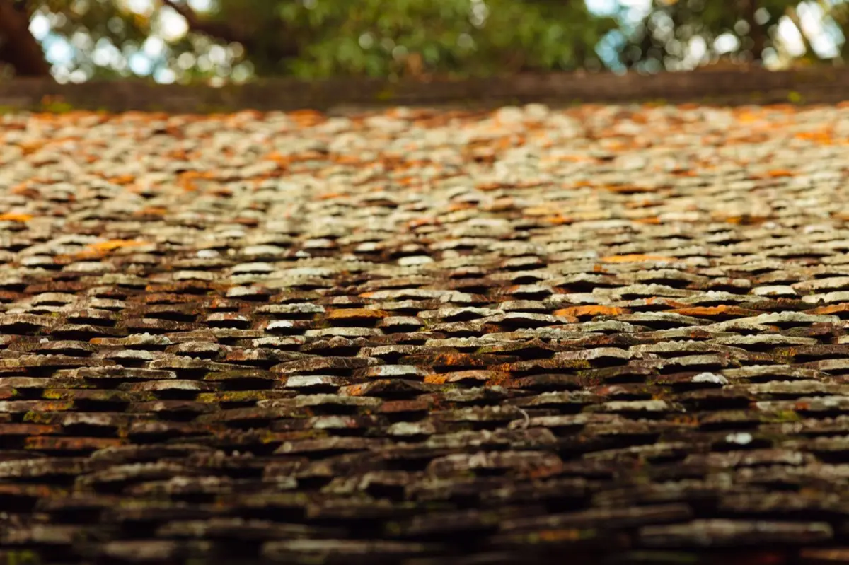 roofing in Summerville, SC